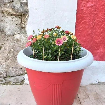 Penelope's Street Old House Apartamento Lefkáda