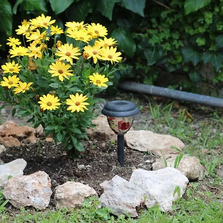 Penelope's Street Old House Apartamento Lefkáda