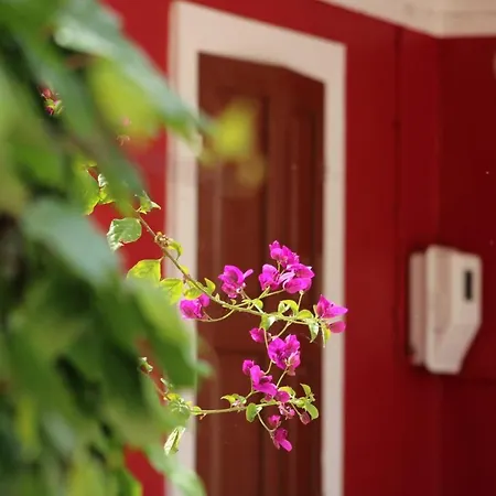 Penelope's Street Old House Apartamento